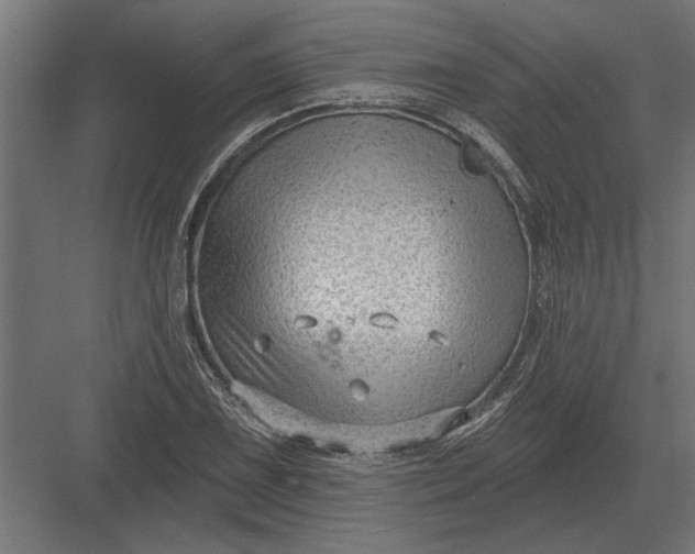 X0000082931075200702152141