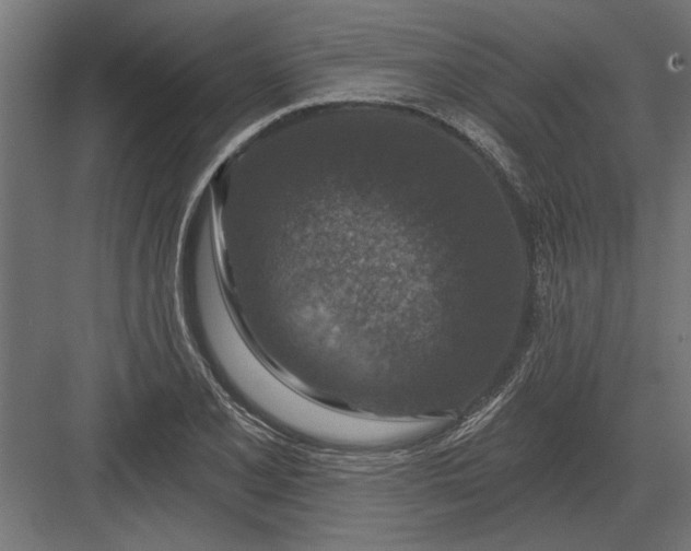 X0000082931077200702152141