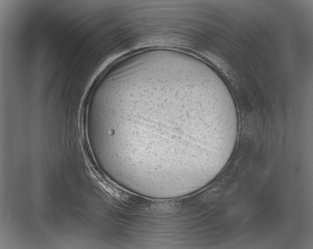 X0000082931078200702152141