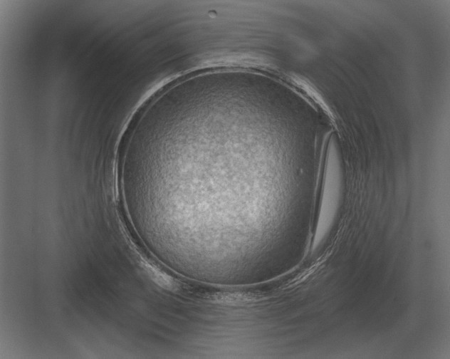 X0000082931079200702152141