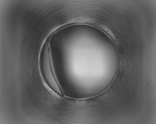 X0000082931080200702152141