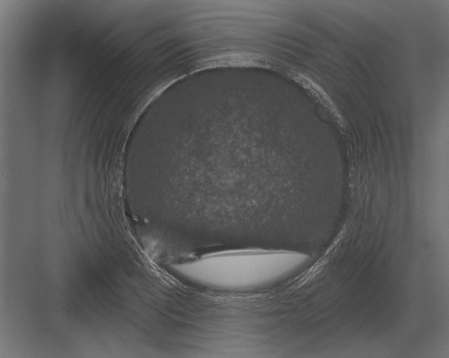 X0000082931081200702152141