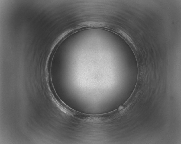 X0000082931082200702152141