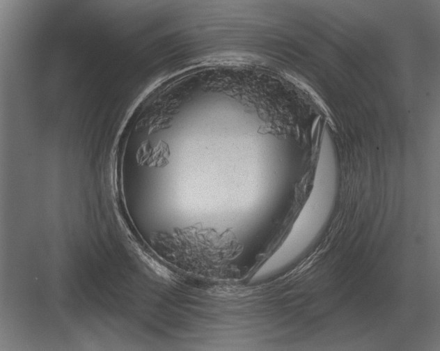 X0000082931083200702152141