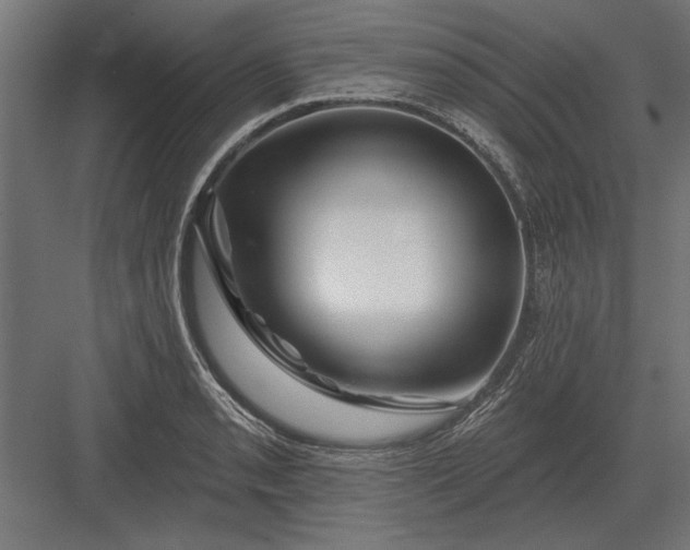 X0000082931085200702152141