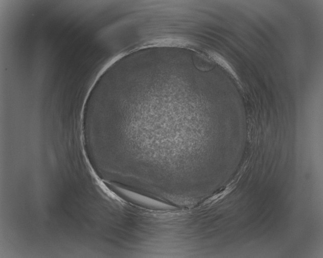 X0000082931087200702152141