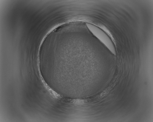 X0000082931088200702152141