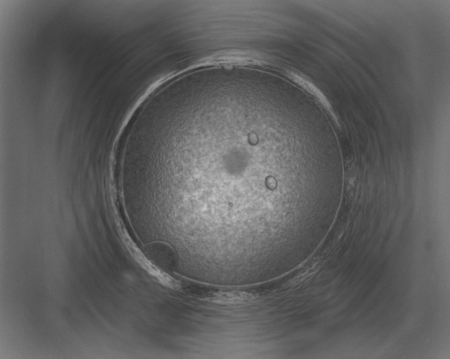 X0000082931091200702152141