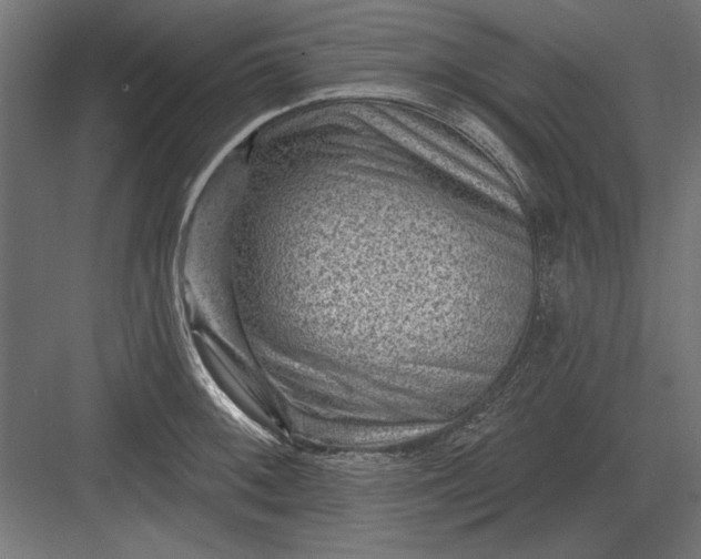 X0000082931092200702152141