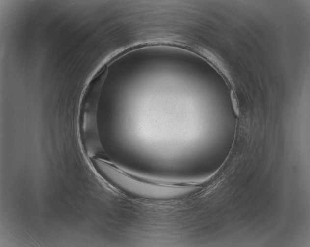 X0000082931093200702152141