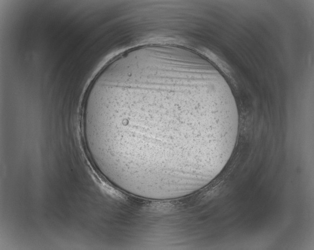 X0000082931094200702152141