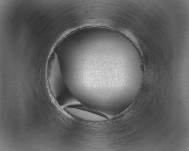 X0000082931096200702152141