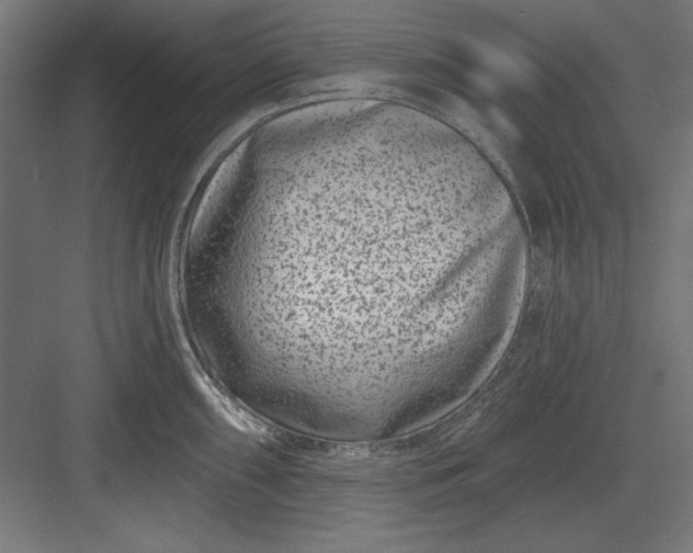 X0000082931098200702152141