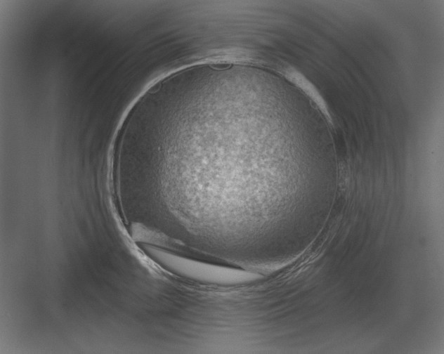 X0000082931099200702152141