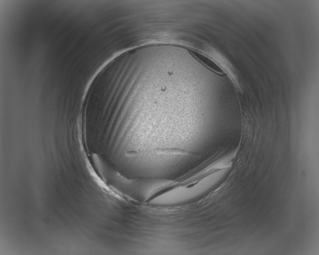 X0000082931100200702152141