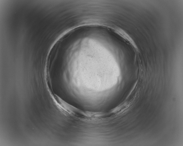 X0000082931101200702152141