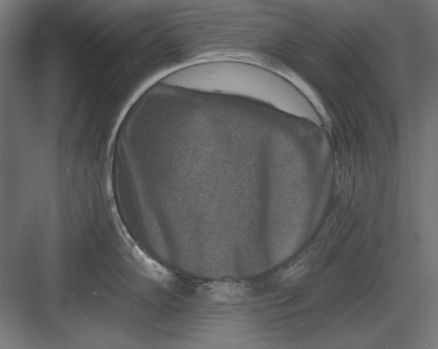 X0000082931102200702152141