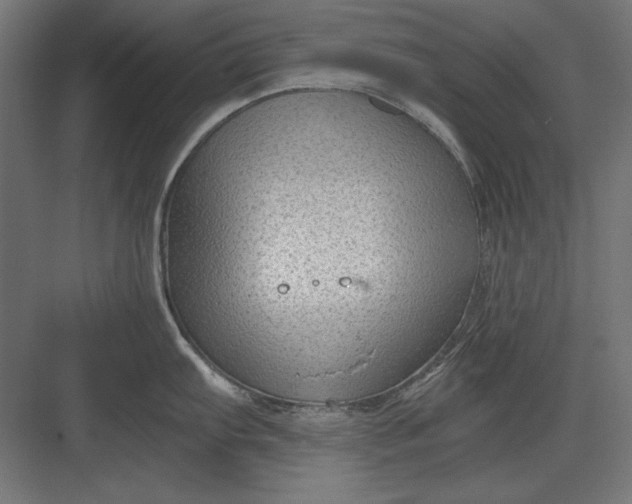 X0000082931103200702152141