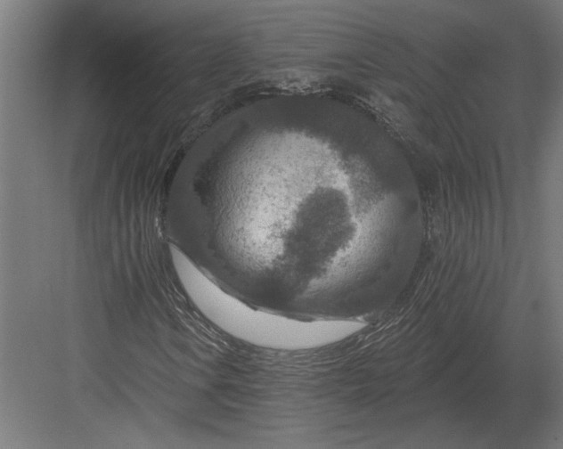 X0000082931106200702152140