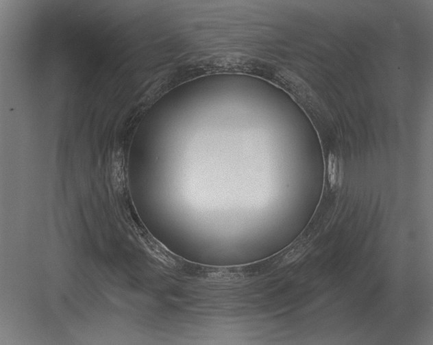 X0000082931107200702152140