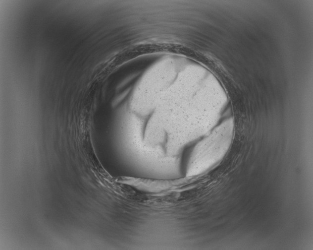 X0000082931110200702152140