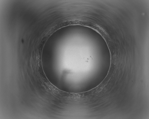 X0000082931111200702152140