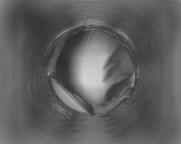 X0000082931112200702152140