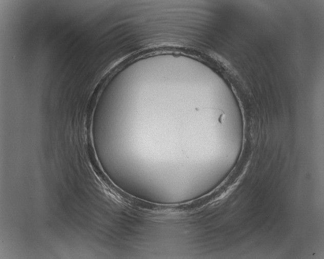 X0000082931113200702152140