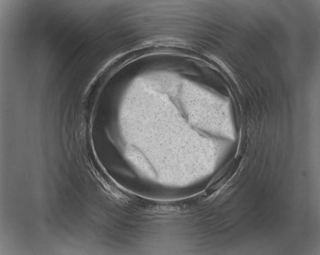 X0000082931115200702152140