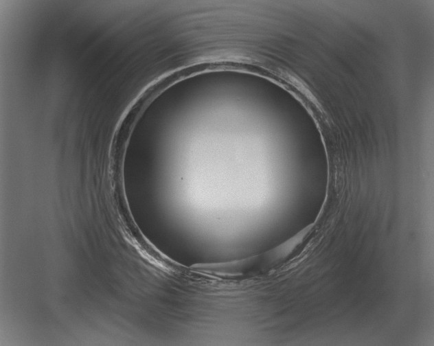 X0000082931116200702152140