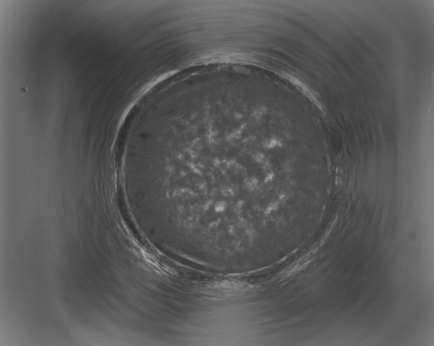 X0000082931117200702152140