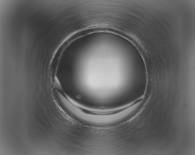 X0000082931118200702152140