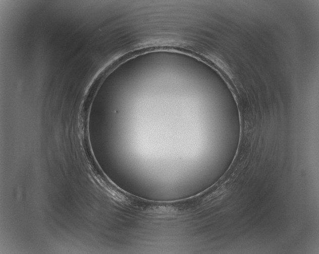 X0000082931119200702152140