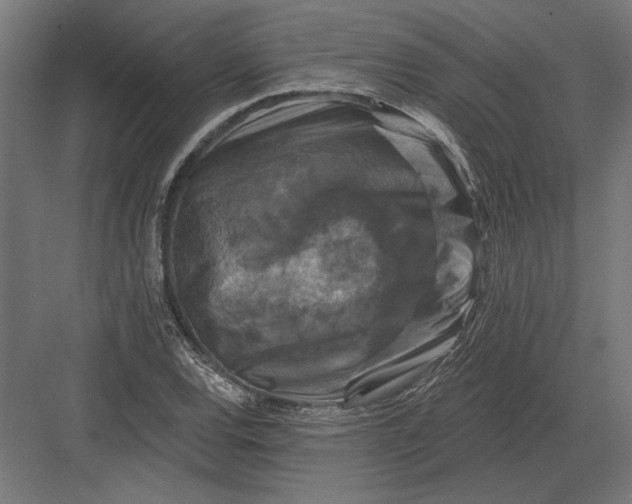 X0000082931120200702152140