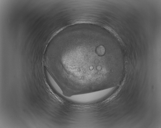 X0000082931121200702152140