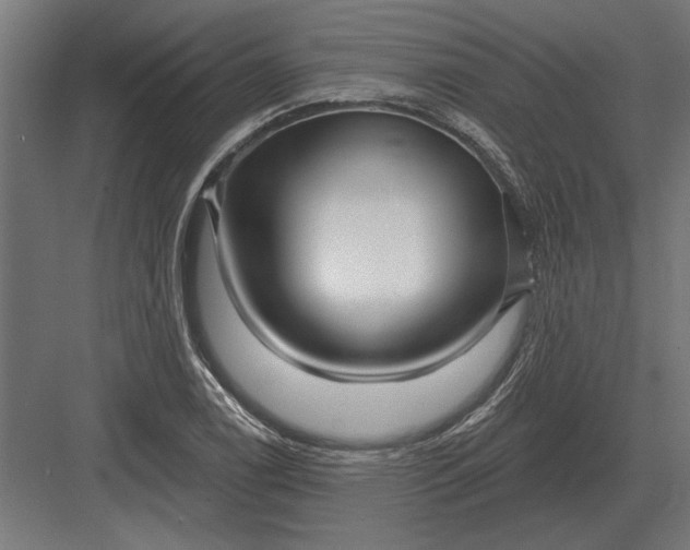 X0000082931122200702152140