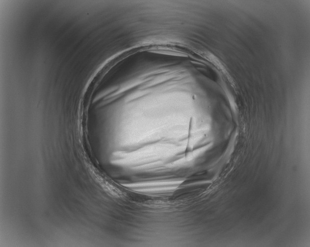 X0000082931124200702152140