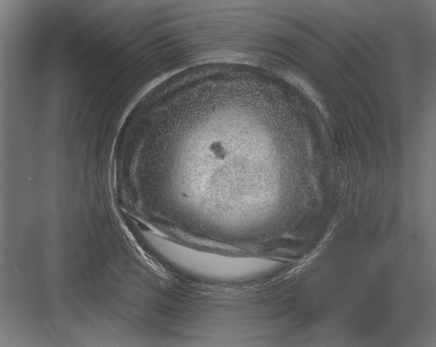 X0000082931125200702152140