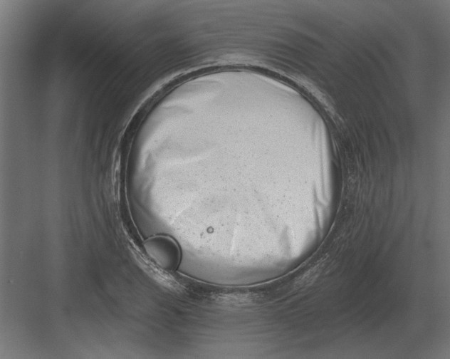 X0000082931126200702152140