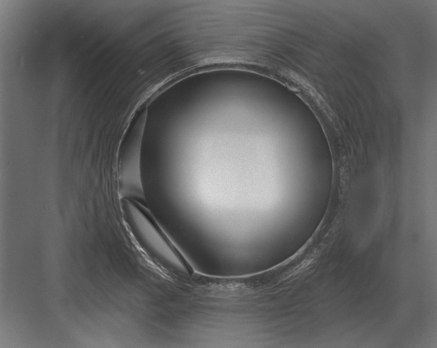 X0000082931129200702152140