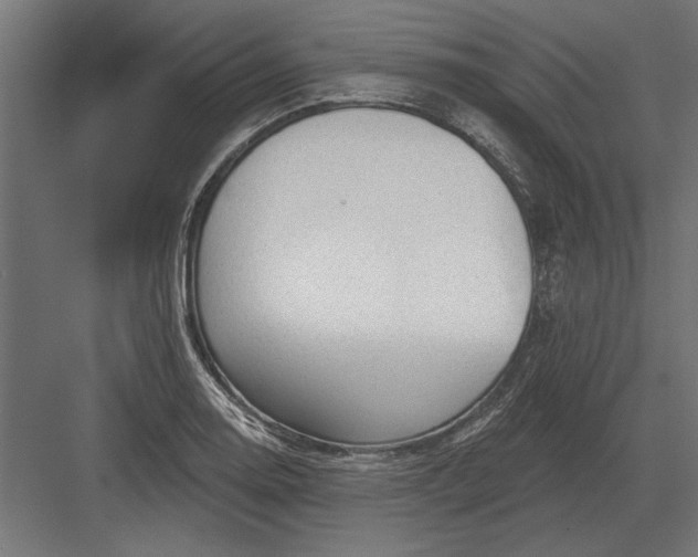 X0000082931130200702152140