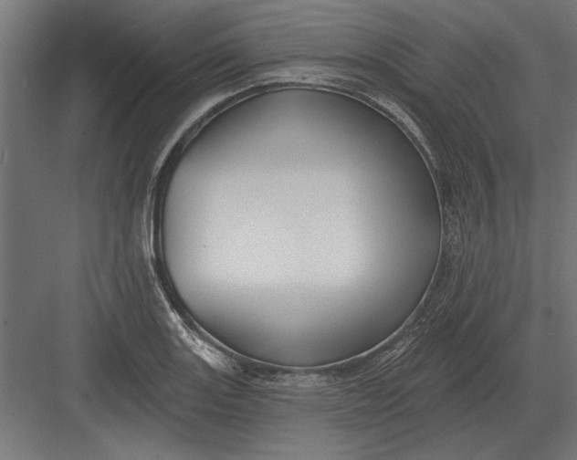 X0000082931131200702152140