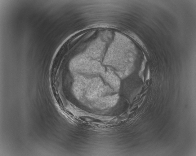 X0000082931132200702152140