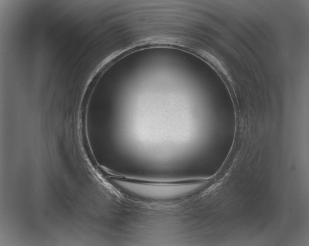 X0000082931133200702152140