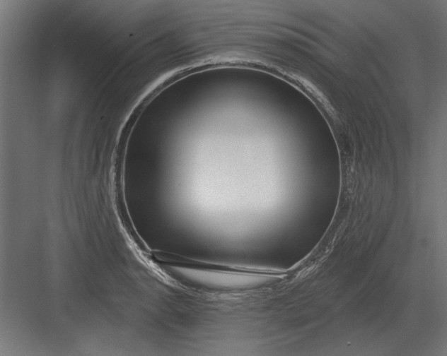 X0000082931134200702152140