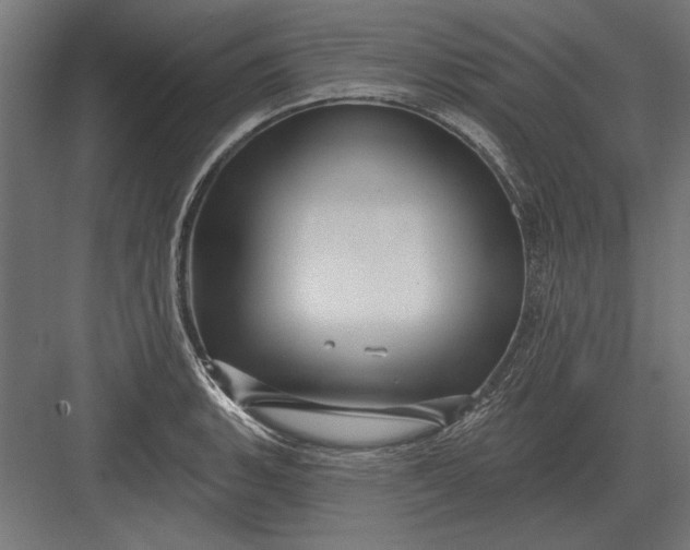 X0000082931135200702152140