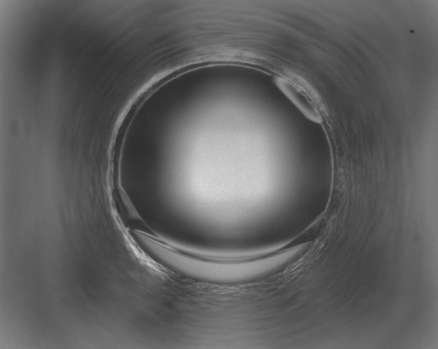 X0000082931136200702152140