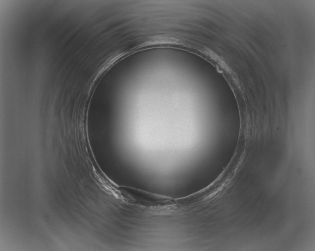 X0000082931137200702152140