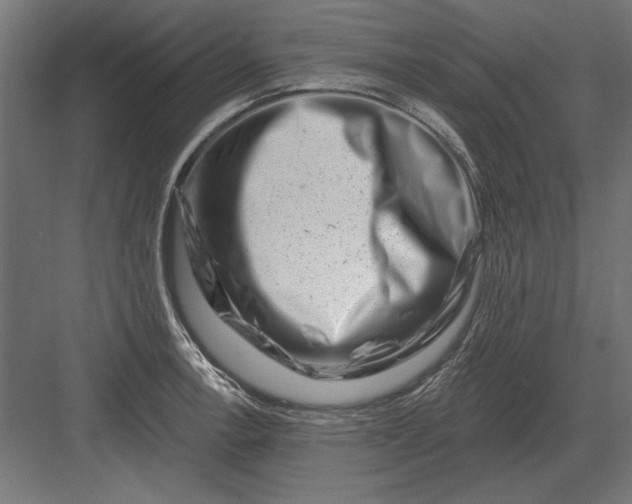 X0000082931138200702152141