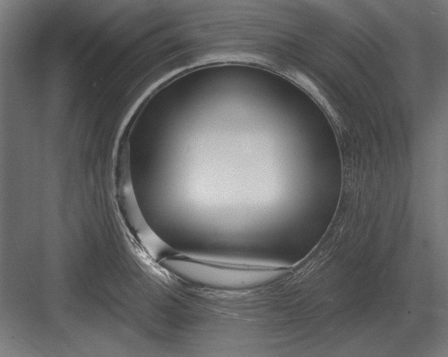 X0000082931140200702152141